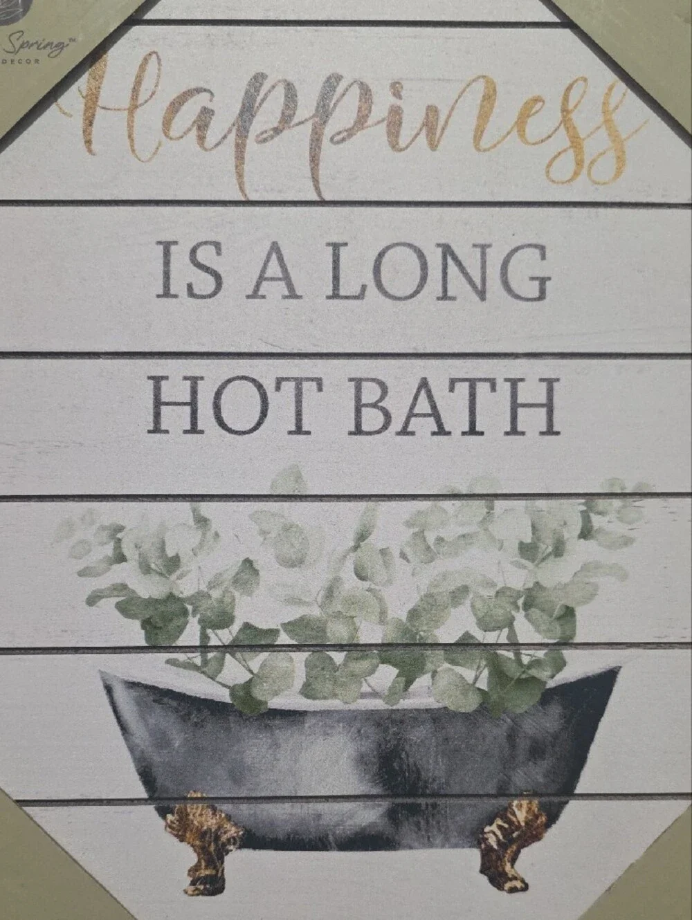 Willow Springs 'Happiness Is A Long Hot Bath' Wall Sign - White & Green